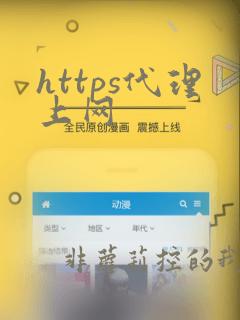 https代理上网