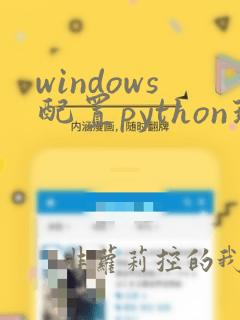 windows配置python环境