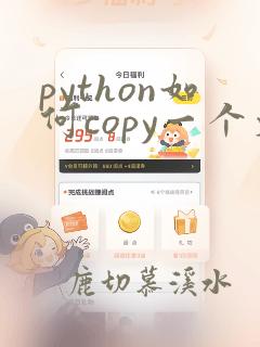 python如何copy一个文件