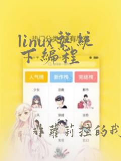 linux系统下编程