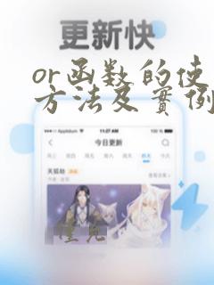 or函数的使用方法及实例