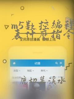 m5数控编程代表什么指令