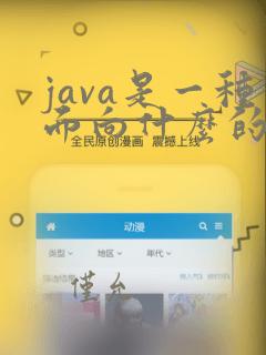 java是一种面向什么的编程语言