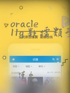 oracle 11g 数据类型