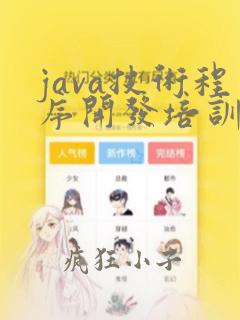 java技术程序开发培训