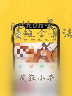 python最优组合算法