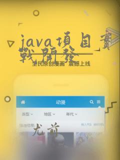 java项目实战开发
