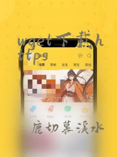 wget下载https