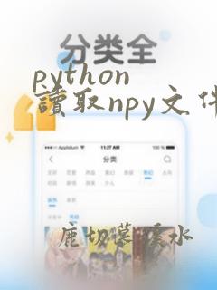 python 读取npy文件