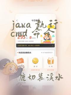 java 执行cmd 命令