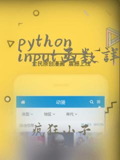 python input函数详解