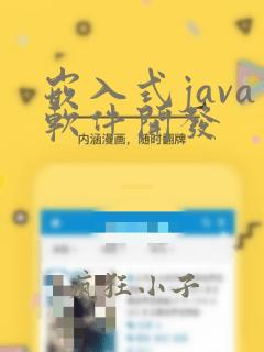 嵌入式java软件开发