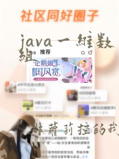 java一维数组