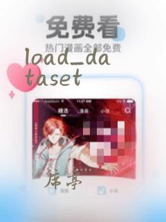 load_dataset
