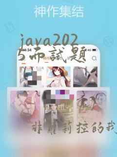 java2025面试题