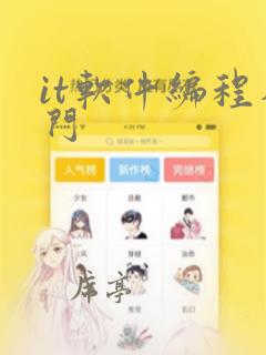 it软件编程入门