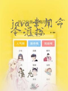 java常用命令汇总