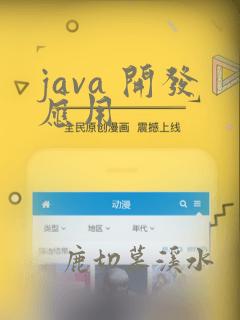 java 开发应用