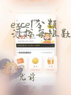 excel分类汇总每组数据分页