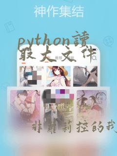 python读取大文件