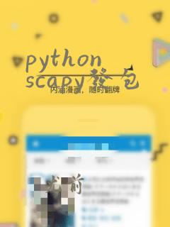 python scapy发包