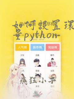 如何设置环境变量python