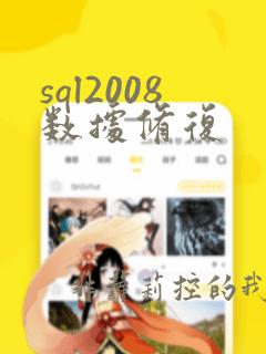 sql2008数据修复