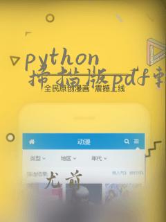 python 扫描版pdf转word