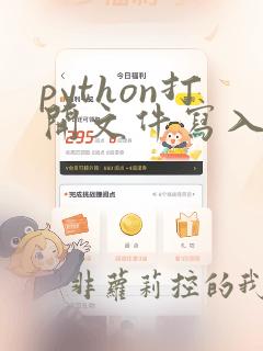 python打开文件写入内容