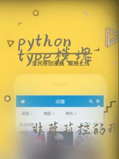 python type模块