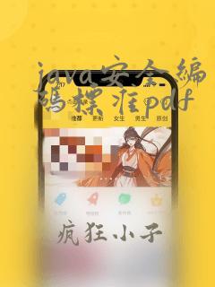 java安全编码标准pdf