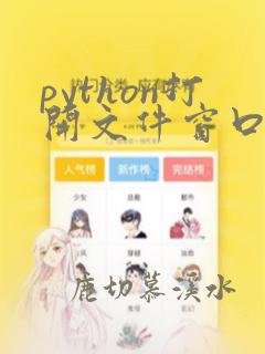 python打开文件窗口