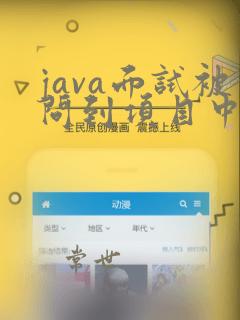 java面试被问到项目中难点