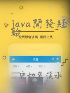 java开发经验