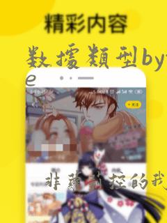 数据类型byte