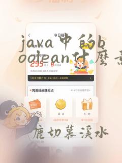 java中的boolean什么意思