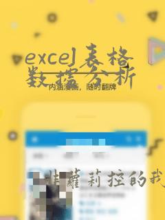 excel表格数据分析