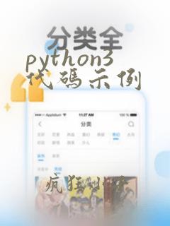 python3代码示例
