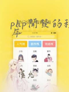 php开发的程序