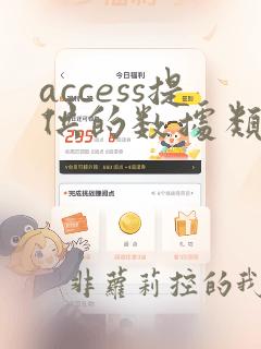 access提供的数据类型中不包括