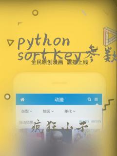 python sort key参数