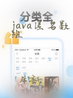 java匿名数组