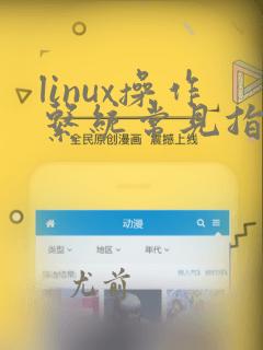 linux操作系统常见指令