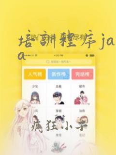 培训程序java
