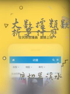 大数据类数据分析是什么