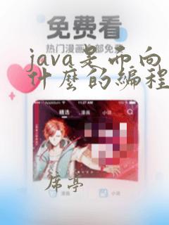 java是面向什么的编程语言