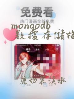 mongodb 数据存储格式