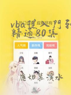 vba从入门到精通80集