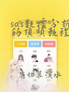 sas数据分析的视频教程