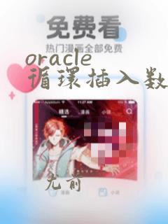 oracle 循环插入数据